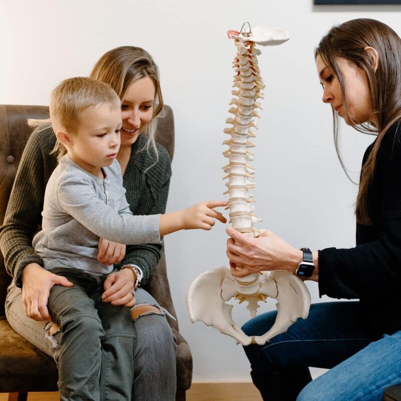 musculoskeletal-pain-scoliosis-fibromyalgia-herniated-disc-carpal-tunnel-syndrome-expert-chiropractic-care-in-Boise-from-Thrive-Chiropractic